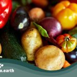 BIO AUSTRIA: Bio-Lebensmittel trotzen der Teuerung