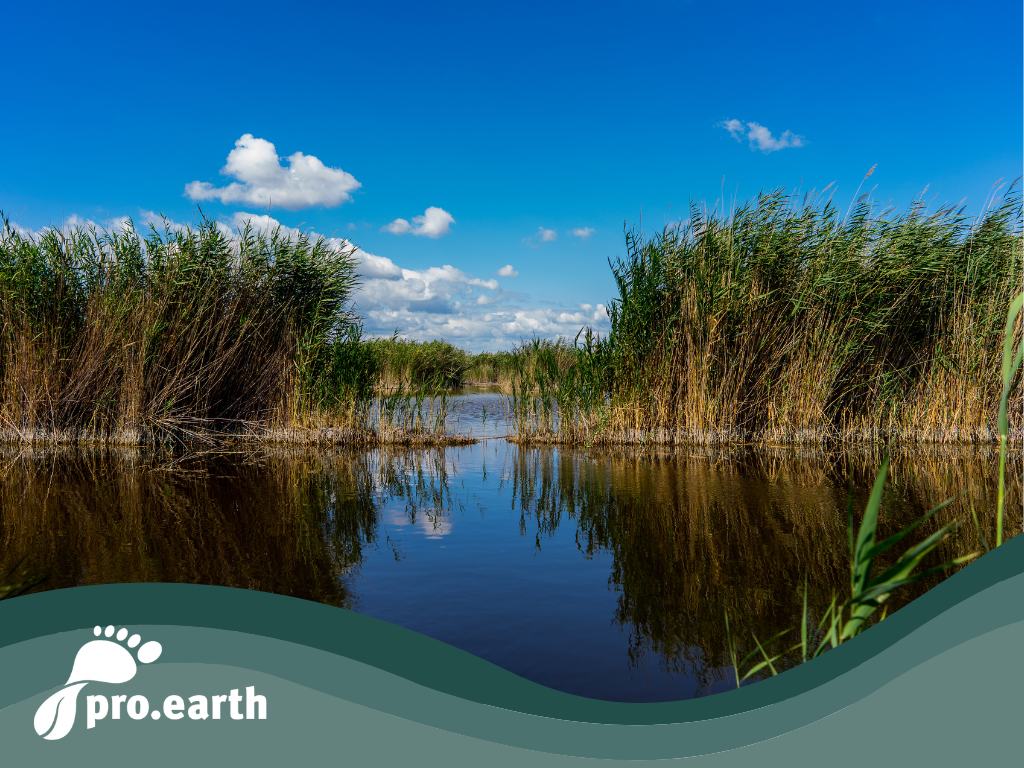 Zuleitung von Donau-Wasser im Neusiedler See würde zu irreparablen Schäden führen